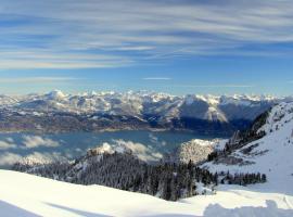 Le Garden - Ski - Vue lac - Piscine - Parking - Évian - Thonon - Lugrin, hotell sihtkohas Lugrin