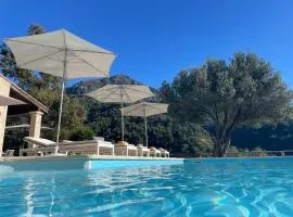 Villa Monti Luxury Villa with pool sleeps 6