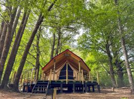 Casa del Árbol - Glamping、マラルカウエリョのホテル