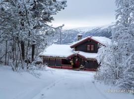 Large cabin with spectacular views in Geilo: Geilo şehrinde bir otel