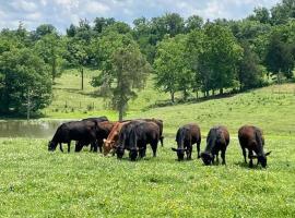 Bourbon Trail Cabin on the Farm, chalé alpino em Lawrenceburg