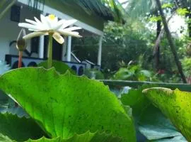 SMW Lodge Sigiriya