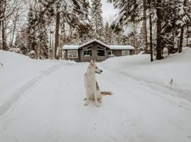 Dog friendly Muskoka. Fun from forest to river., hotel in Huntsville