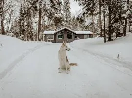 Dog friendly Muskoka. Fun from forest to river.