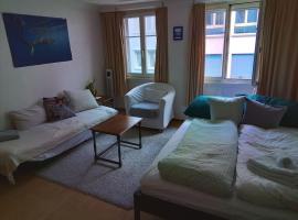 tiny flat, hotel u gradu Sen Galen