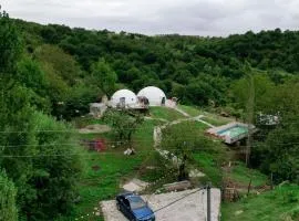 Dream Domes Glamping