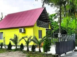 Yellow chalet 021.