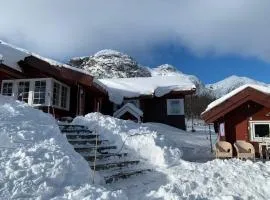 Roni Chalet Hemsedal - Holdeskaret