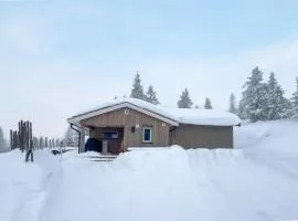 Beautiful Home In Sjusjøen With Jacuzzi