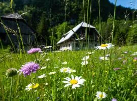 Traditional homestead Guhar in Radovna