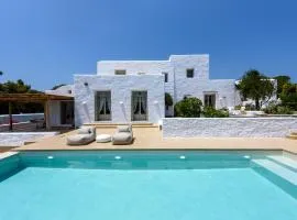 Villa Vinea Paros