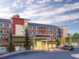 Residence Inn Duluth