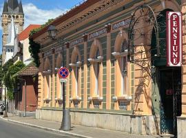 Pensiunea Casa Rusu, hotel in Baia Mare