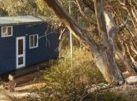 Blue Orchid Tiny House