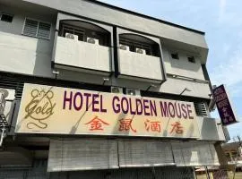 OYO 90994 Hotel Golden Mouse