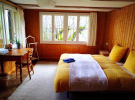 Hostel Sonnenhof Wengen，瀑布鎮的青年旅館