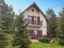 Nice Home In Ravna Gora With Wifi