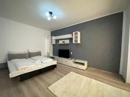 Apartament Dya HATEG 9