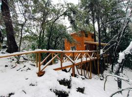 Cabañita Del Árbol Concón, hotelli Nevados de Chillanissa