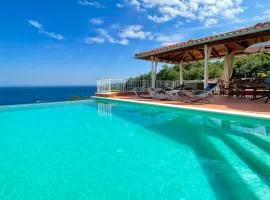 VILLA LOVRAN - 150m to the beach - infinity pool - incredible sea view - fitness room