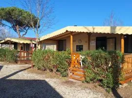 Campsite chalet ZR28 Tuscany near sea Viareggio