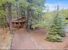 The Bluejay Cabin at Munds Park, AZ!, chalupa v destinaci Sedona