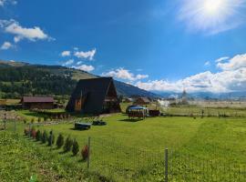 A Frame Alpin – hotel w mieście Vatra Dornei