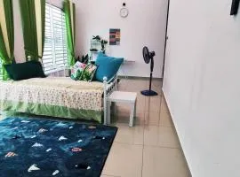 D'Diana Homestay HSB Wifi 4 Airconds