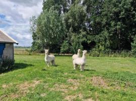 The3AlpacasPieterburen, hótel í Pieterburen