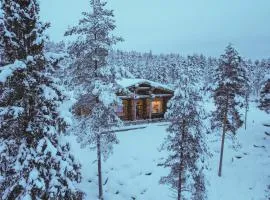 Luxury Log Villa by Invisible Forest Lodge