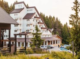 Hotel Alpin Rarău, готель у місті Кимпулунг-Молдовенеск