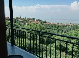 Cozy Rooms with View, Sighnaghi