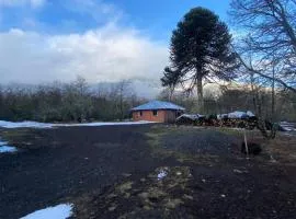 Cabaña en Malalcahuello centro de ski Corralco