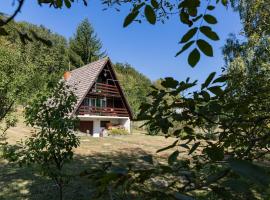 Planinska Vikendica Međurečje, Hotel in Ivanjica