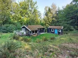 Amazing Home In Höör With Kitchen