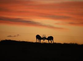 The Ranch House at African Safari Lodge, khách sạn ở Grahamstown