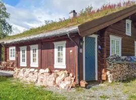 Amazing Home In Oppdal With Kitchen