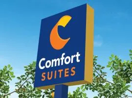 Comfort Suites Fort Myers - I75