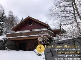 LES CIMES BLANCHES CLEDICIHOME Chalet 10 pers SPA & Grand terrain 4 MINUTES DES PISTES