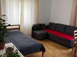 Apartament przy Parku Czartoryskich II