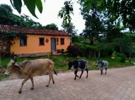 Diamantina, Curralinho Extração