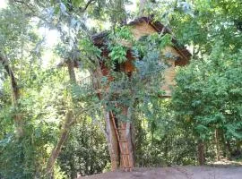 Tree House-Midigama