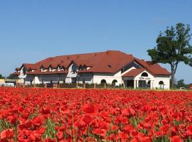 Hotel Dwór Galicja, hotel en Stalowa Wola