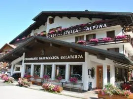 Hotel Stella Alpina