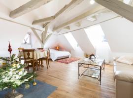 Les Appartements Saint Nicolas, khách sạn ở Colmar