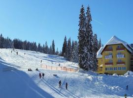 Burg Hotel Feldberg, hotel sa Feldberg