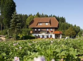 Viesnīca Gasthaus Schweizerhof pilsētā Titizē-Noištate