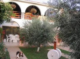 Apartment Dady with a large covered terrace