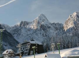 Hotel Alpina, хотел в Кранска гора