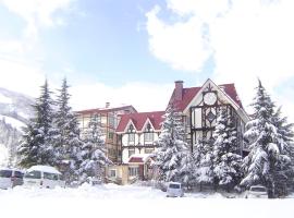 Rosenheim Hakuba, hotell i Hakuba